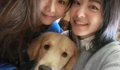 美女爆料单身狗视频播放,美女爆料视频引发网友热议，揭秘单身生活真相